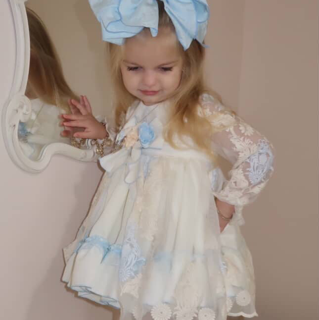 Samantha Sheer Sleeve Dress